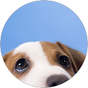 Charlie Shim Charlie Shim